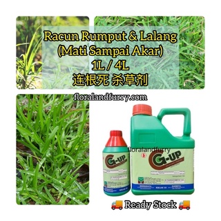 Racun Rumput Rumpai Lalang Mati Akar L L Weed Killer Glyphosate