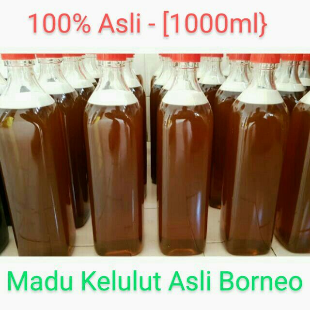 Madu Kelulut Asli Original Trigona Honey Stingless Honey From