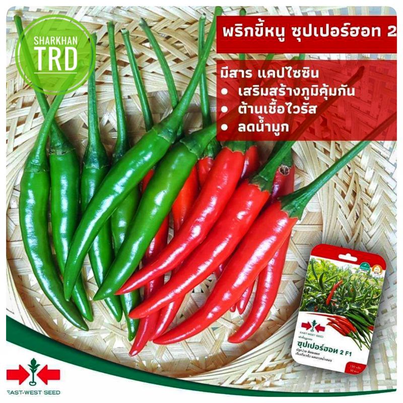 Mini Pack Seeds Super Hot F Biji Benih Cili Pedas F Hybrid Hot