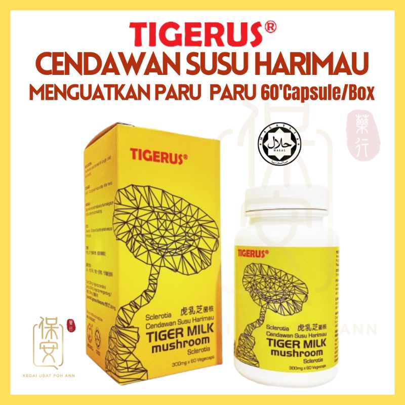 Tigerus Tiger Milk Mushroom Capsule S Tigerus Cendawan Susu