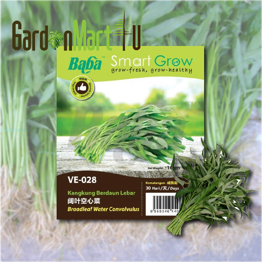 Baba Smart Grow Seeds VE 028 GE Kangkung Gred A GE Grade A Water