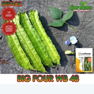 Biji Benih Kacang Botor Kacang Kelisa Winged Bean 10 Biji Benih