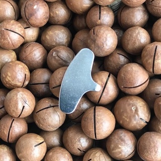 Kacang Kunci Viral MACADAMIA NUTS Ready To Eat Shopee Malaysia