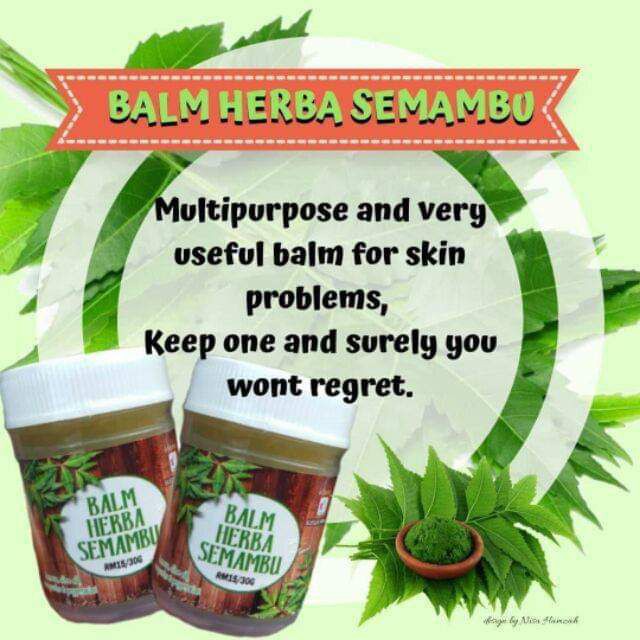 Balm Herba Semambu Susuk Manja Enterprise SME Untuk Alahan Alergi Kurap