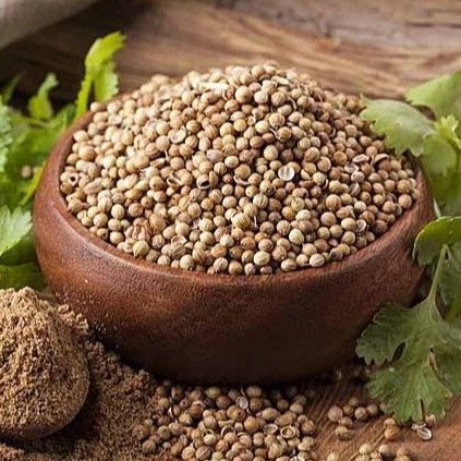 Biji Ketumbar Biji Rempah Dried Coriander Seeds G G Shopee