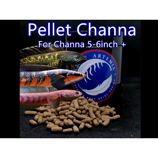 Qiuyu Channa Pellet Pellet Channa High Protein 100g Shopee Malaysia