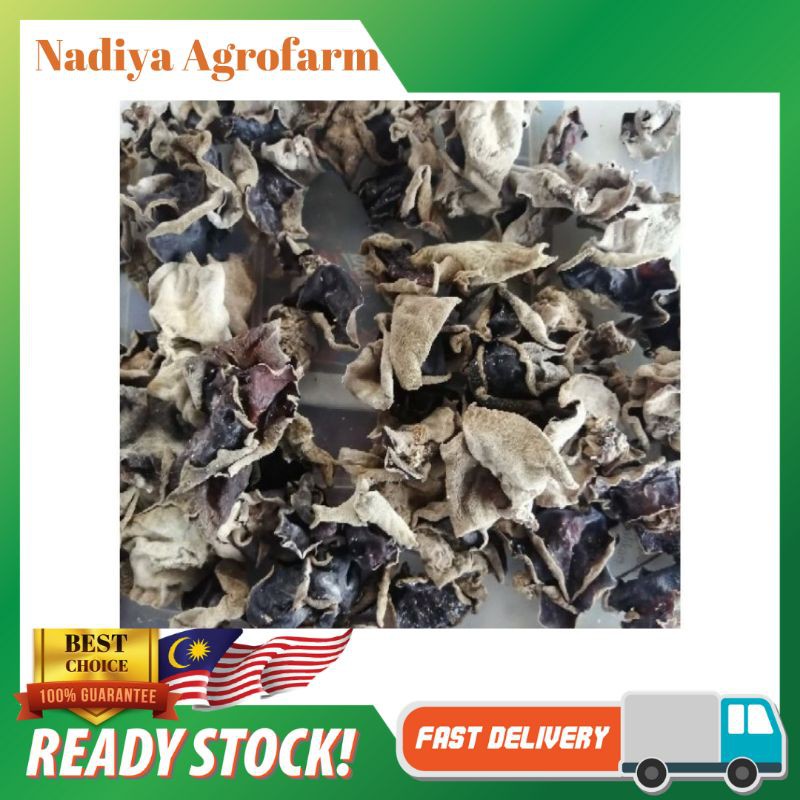 Cendawan Jeli Hitam Kering Shopee Malaysia