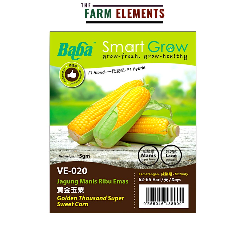 Baba VE 020 Smart Grow Golden Thousand Super Sweet Corn Seed 5g Benih