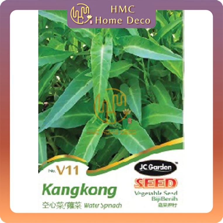 V11 WATER SPINACH JC GARDEN VEGETABLE SEED BIJI BENIH KANGKONG Shopee