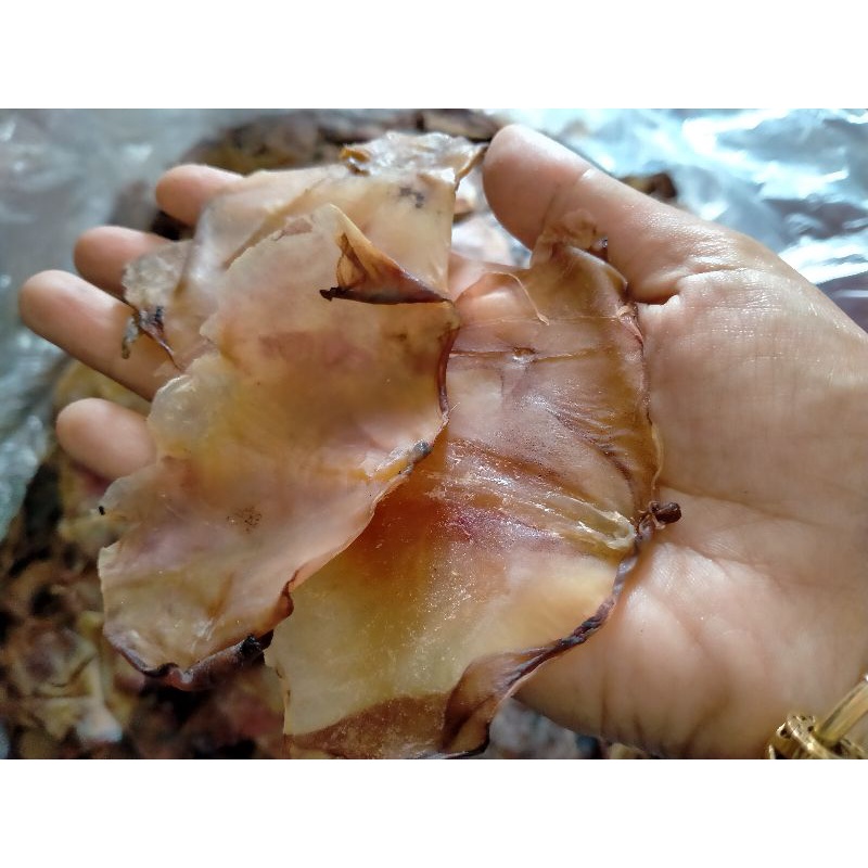 Sotong Kering Sotong Sayap Lembut Gredaaa Shopee Malaysia