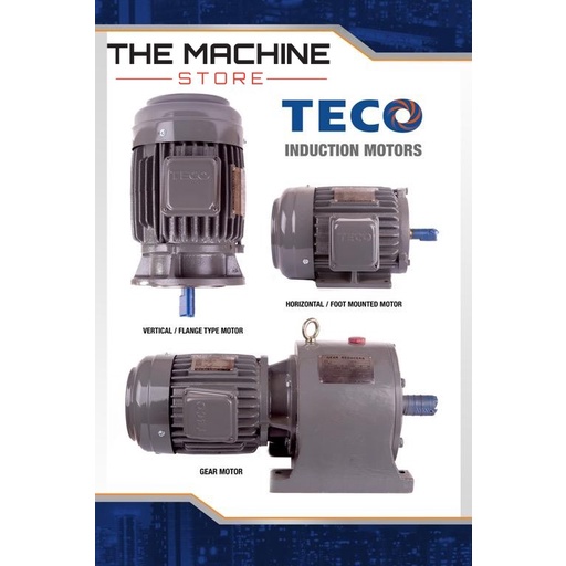 Teco IE1 Standard Efficiency Squirrel Cage Induction Motor 1 HP 0 75KW