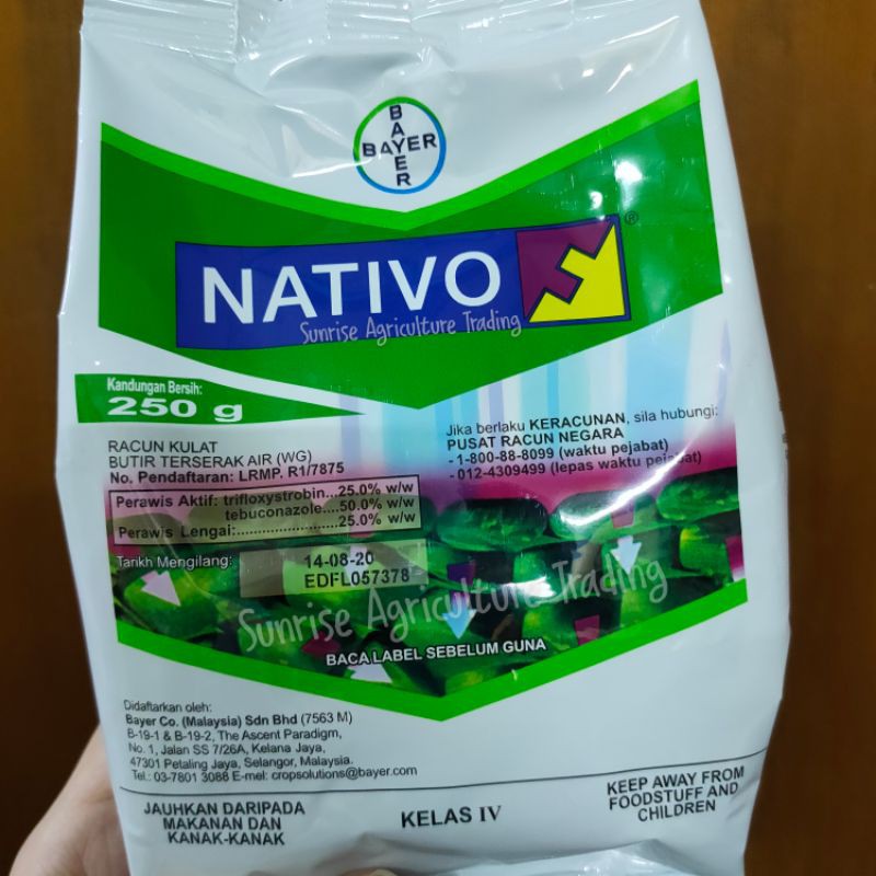 250g Nativo R Kulat Bayer Trifloxystrobin Tebuconazole Bintik Daun