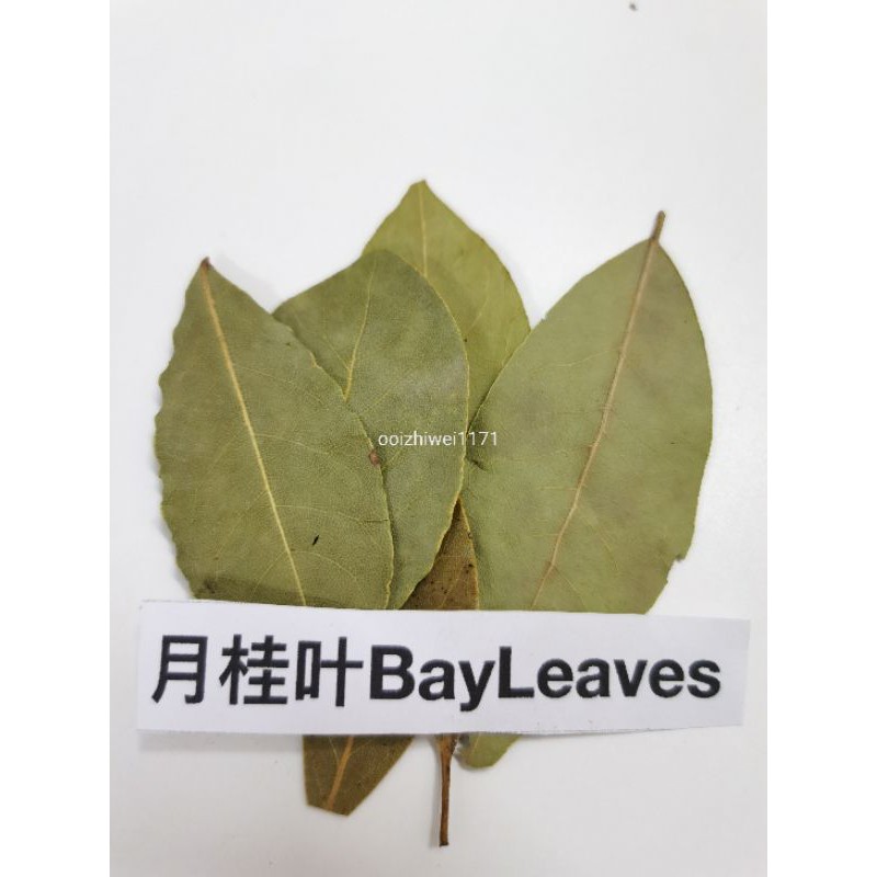 NEW PRODUCT 50 gram Dried Bay Leaf 月桂叶 Daun Salam Daun Briyani Daun