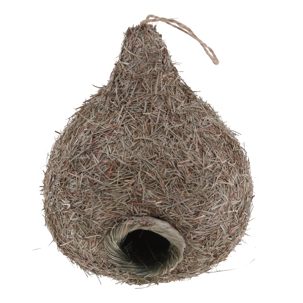 B Nest House Bird House Box Wooden Birds Nest Wall Mounted Outdoor