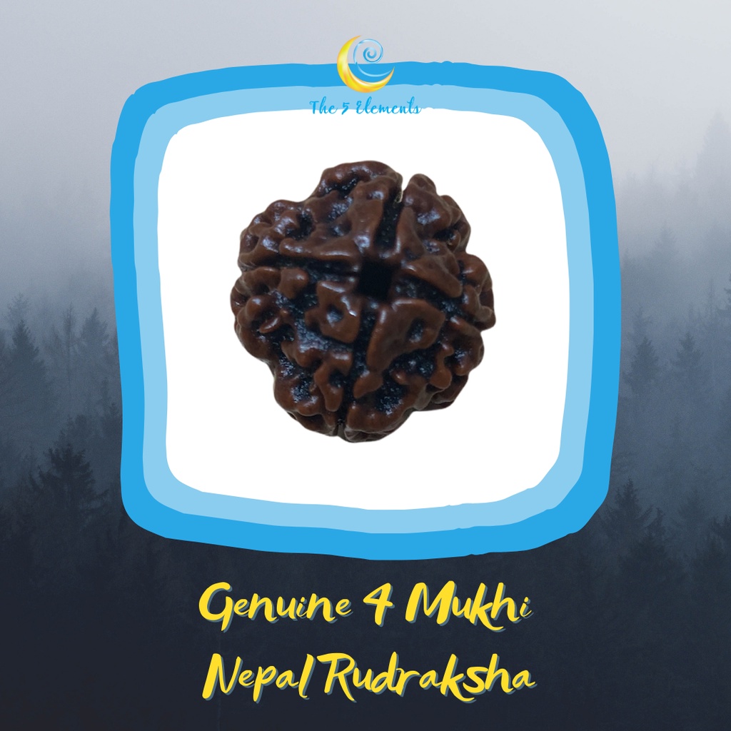 Original Genuine Nepal Mukhi Faces Mugam Rudraksha