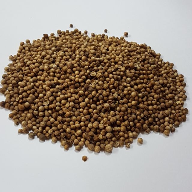 Rempah Biji Ketumbar Coriander Seeds Fine Shopee Malaysia