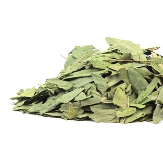 Wholesale 1kg Sanna Senna Leaf Daun Jati Cina Maki Borong Daun Sunnah