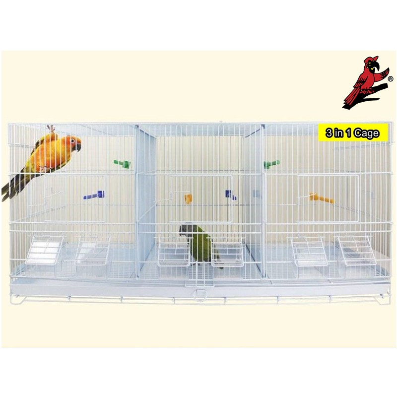 Luxury Bird Cage Sangkar Parrot Cage Sangkar Sugar Glider Cage Sangkar