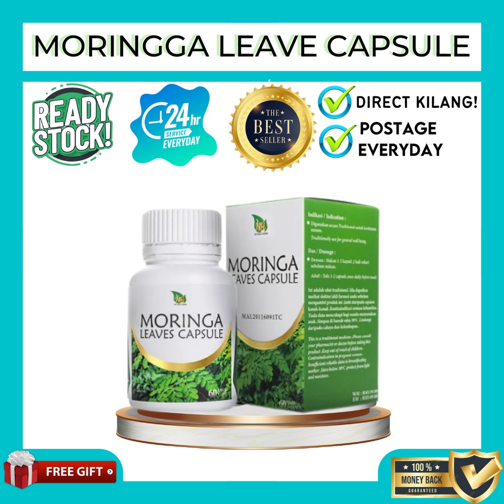 DIRECT KILANG NUTREE HERBS MORINGA KAPSUL MORINGA MORINGA OLEIFERA