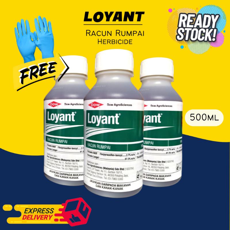 Loyant 500ml Racun Rumpai Racun Rumput Padi Burung Rusiga Emas Rumpai