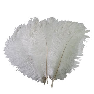 wedding feathers for sale