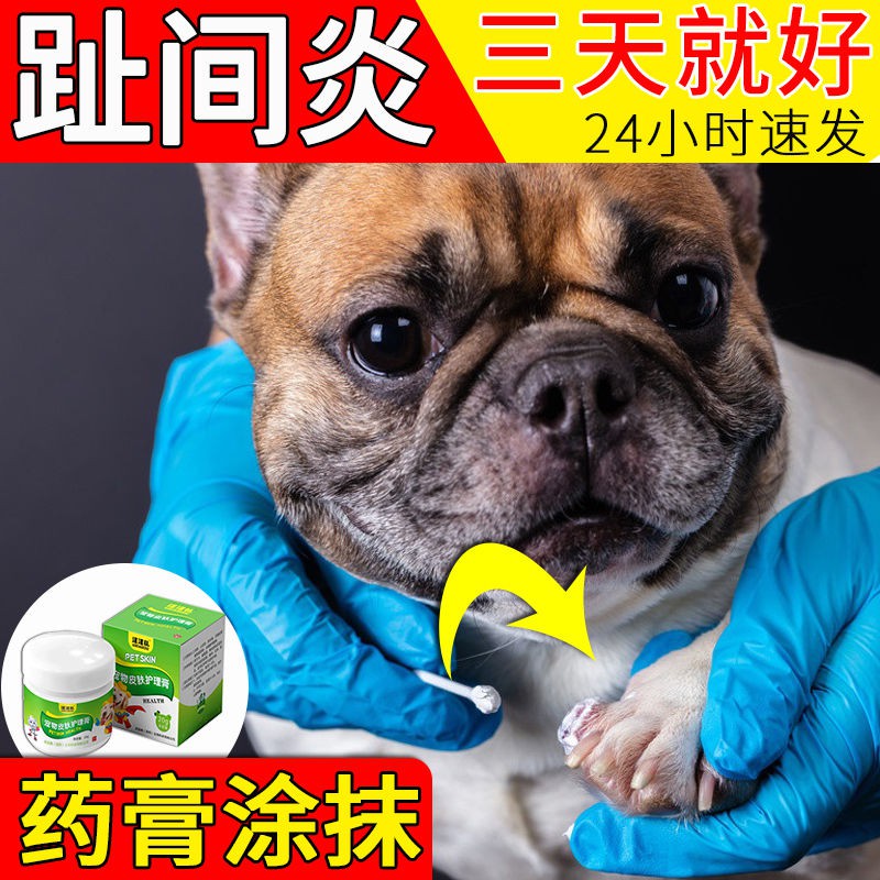 Special Medicine For Dog Interphalangitis And Toeitis C狗狗趾间炎脚趾炎专用药猫咪指尖消炎宠物狗 脚趾红肿发炎外用药膏i 6kmpspqq Shopee Malaysia