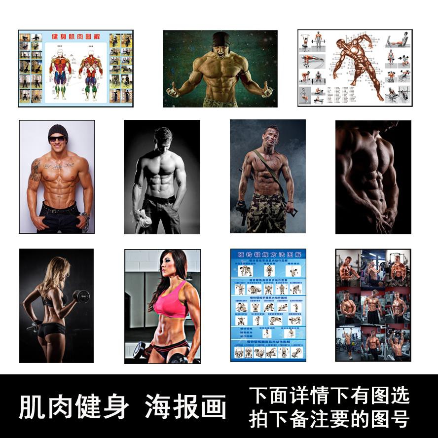 健身海报定做健美先生运动肌肉图解男女健身房壁纸挂画墙贴画 Shopee Malaysia