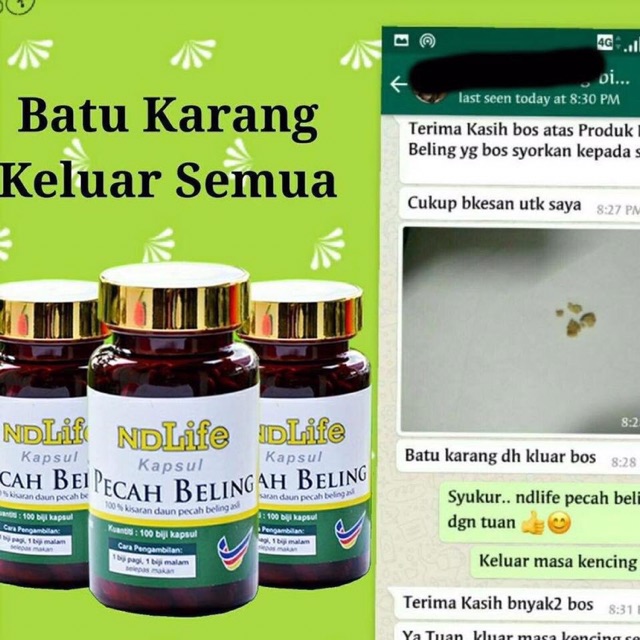 Pecah Beling Ubat Batu Karang Hempedu Shopee Malaysia