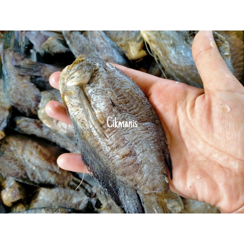 Ikan Sepat Masin Sedap Murah