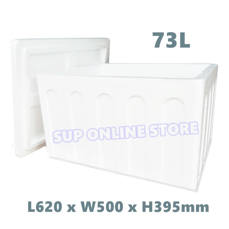 Styrofoam ice box / cooler box / picnic box / gabus / foam box / fish