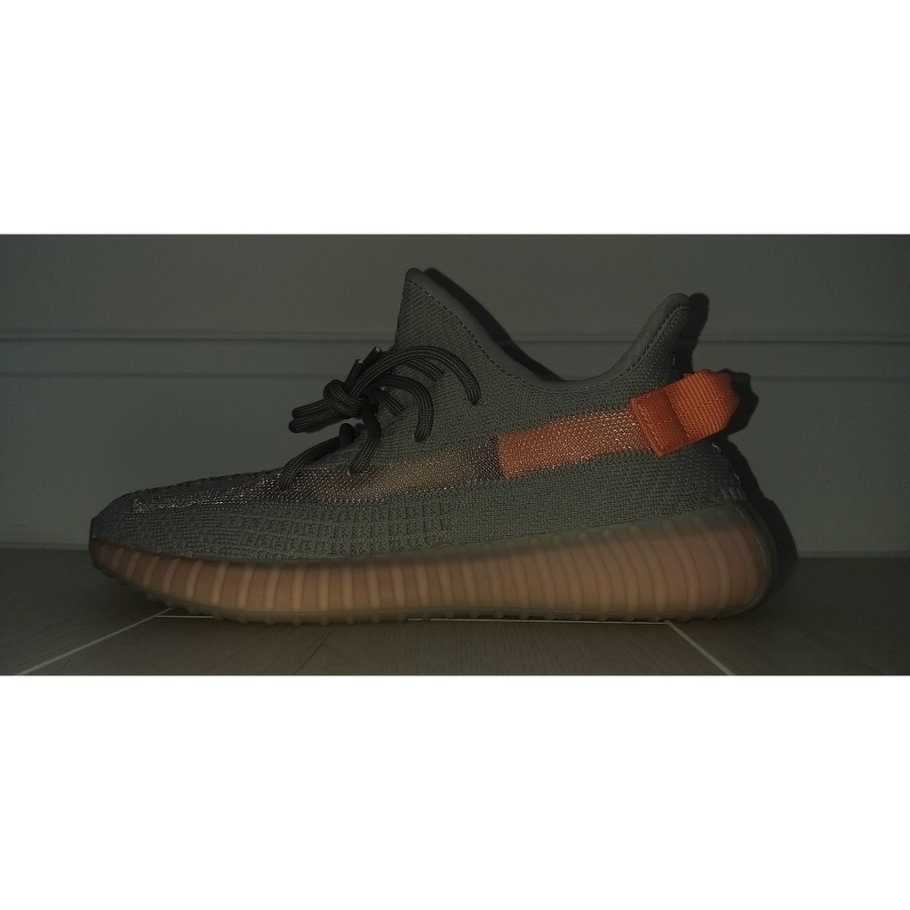 Yeezy boost 350 V2 true form mt 46 Marktplaats