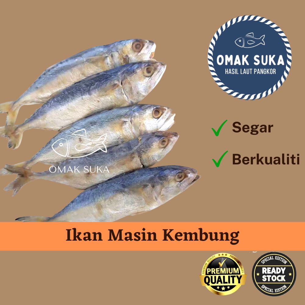 Berapa Banyak 100 Gram Ikan Masin