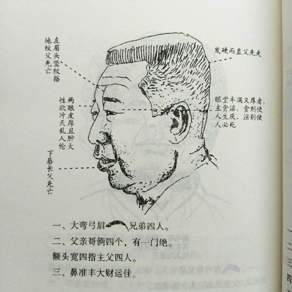 圖解看面相384頁民間相法秘笈過三關手相面相全書天下第一相書 Shopee Malaysia