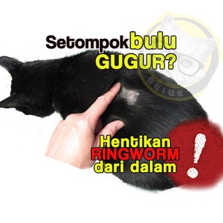 Pet Glove Cat Dog Comb  Sikat Bulu Gugur