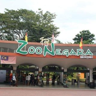 Zoo Negara Termasuk Giant Panda Tiket Open Date Tiket