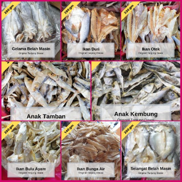  Jenis  Jenis Ikan Masin  Ikan  Masin  Bulu Ayam Jevt Online