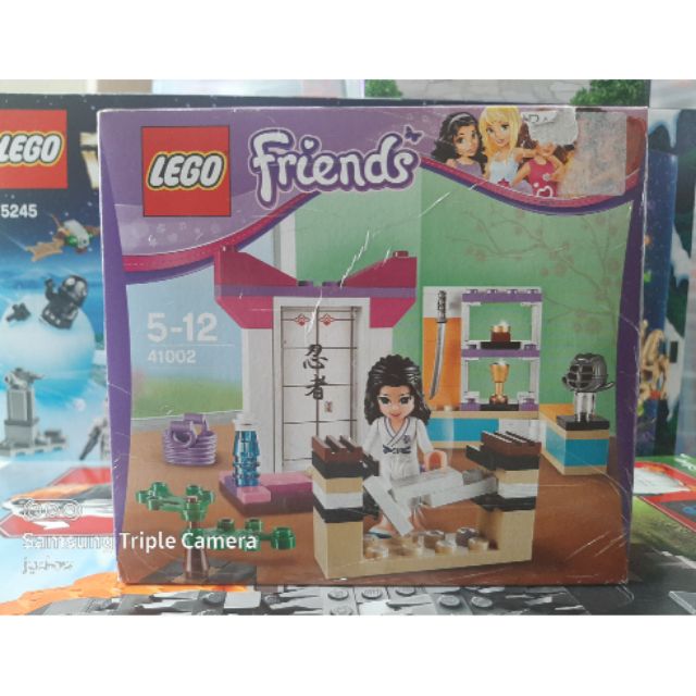 lego friends emma's karate class