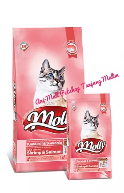 molly makanan kucing