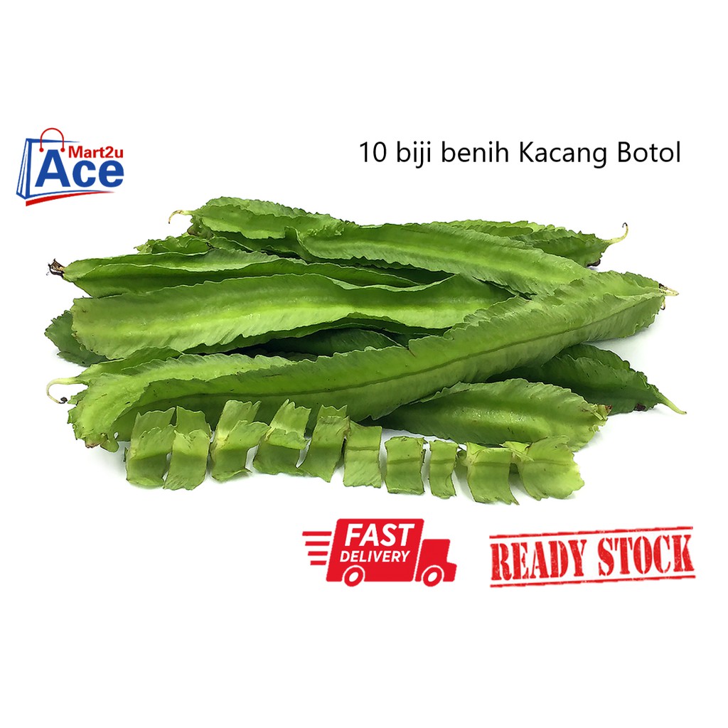 Buy Rs 10pcs Benih Kacang Botol Pasti Tumbuh Biji Benih Sayur Sayuran Seetracker Malaysia