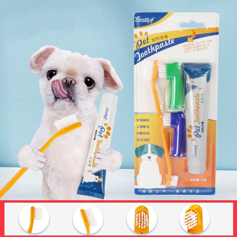 dog edible toothbrush