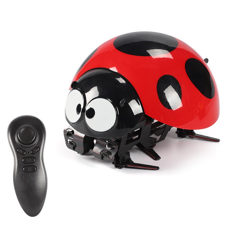 rc ladybug