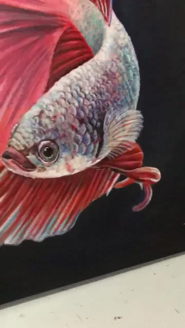 Lukisan ikan laga