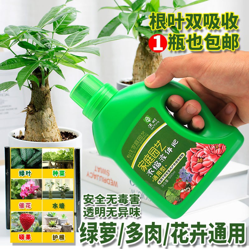 Buy Plant Nutrient Solution通用型植物营养液家庭园艺肥料种菜养花浓缩花肥绿萝多肉吊兰水肥 Seetracker Malaysia