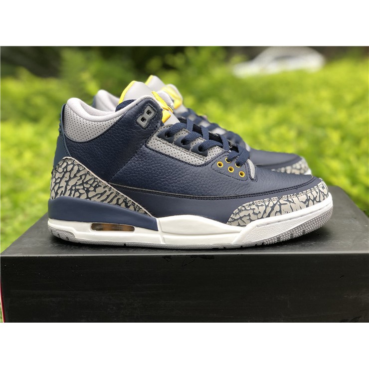 michigan jordan 3