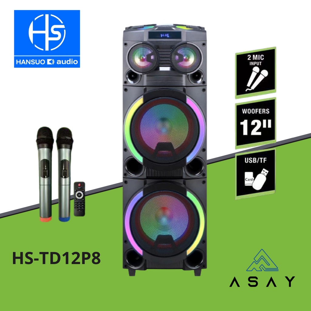 HANSUO HSTD12P8 12inch X 2 Trolley Rechargeable Super Bass Wireless
