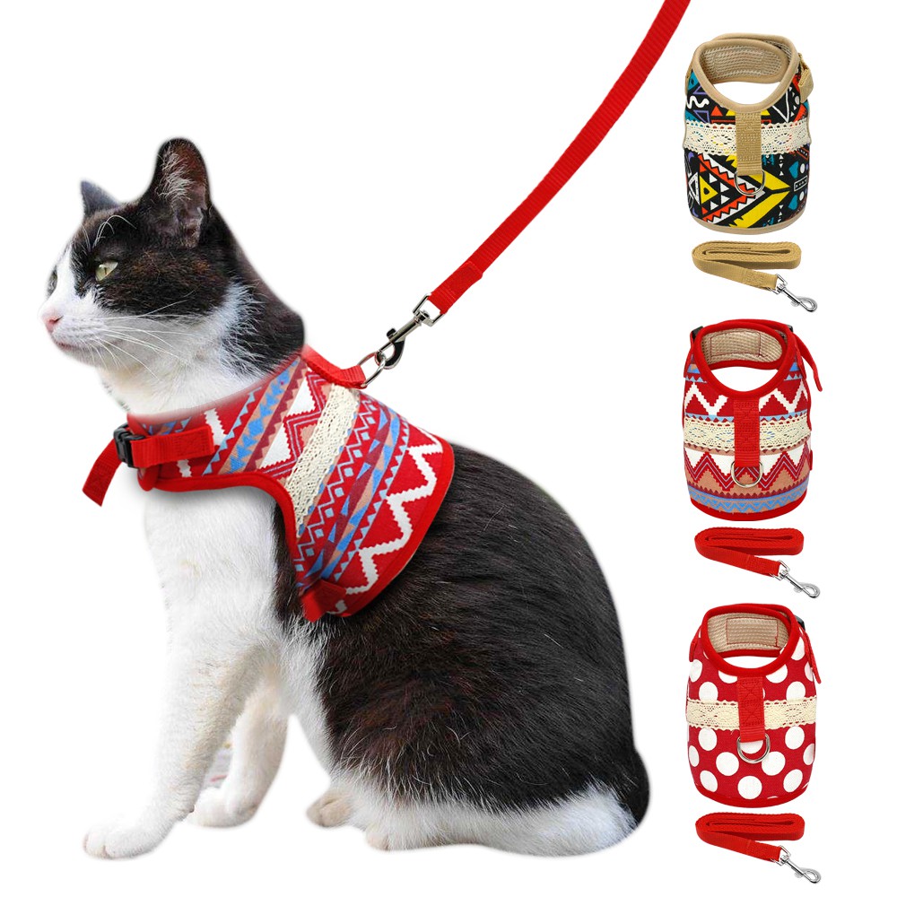 cat collar and leash