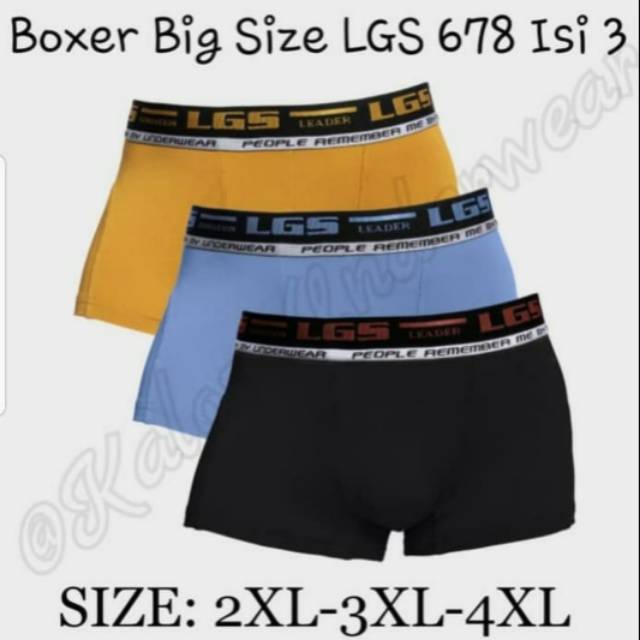 4xl boxer shorts