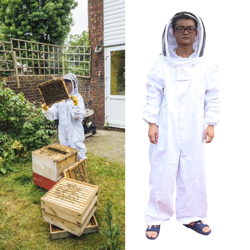 beekeeper ken doll