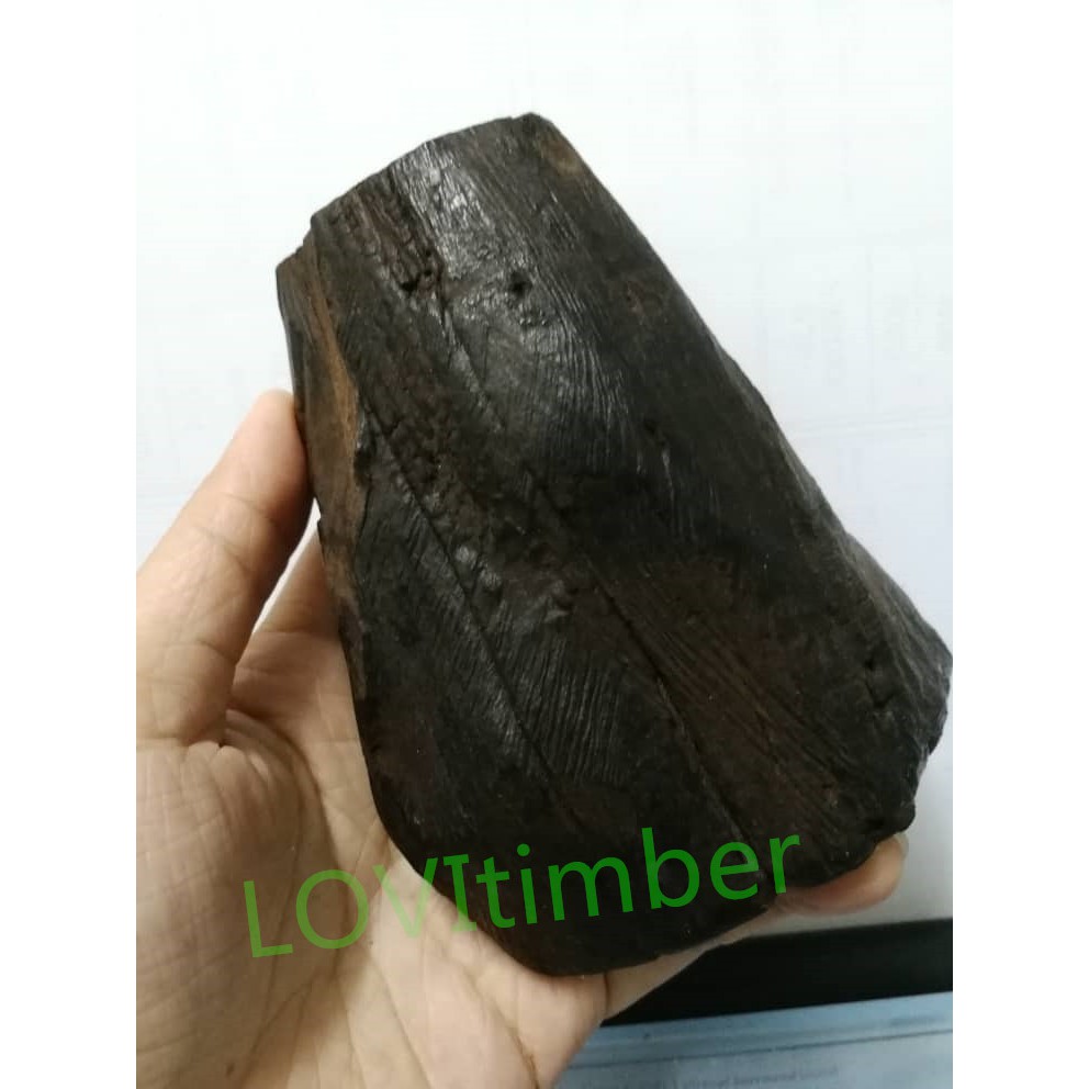 Kayu Kemuning Hitam Ustaz Sharhan - sal-kaa