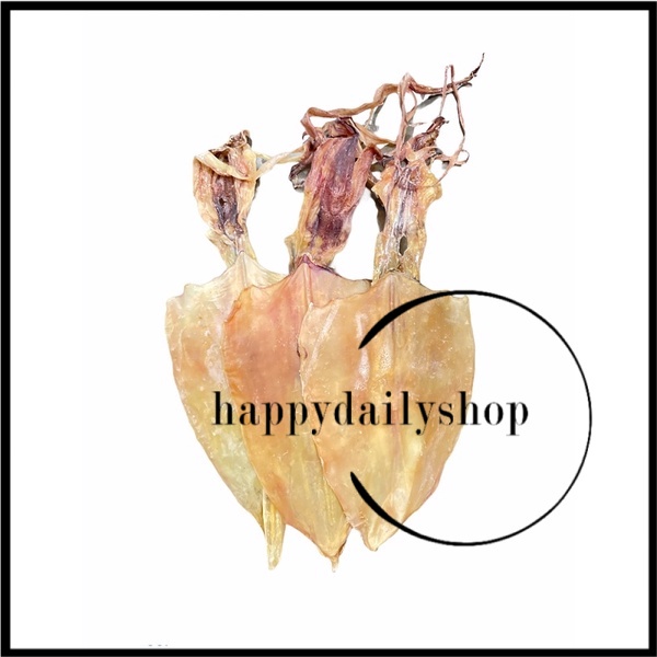 100g Dried Squid 鱿鱼(L)